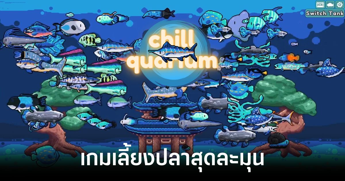 Chillquarium main feature