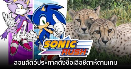 สวนสัตว์ในสหรัฐประกาศตั้งชื่อเสือชีตาห์ตามตัวละคร Sonic