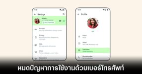 whatsapp-username-reservation
