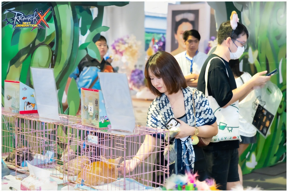 ROX บริจาคอาหารแมว 750 กิโลกรัมเพื่อช่วยเหลือแมวจร 3 ROX บริจาคอาหารแมว 750 กิโลกรัมเพื่อช่วยเหลือแมวจร