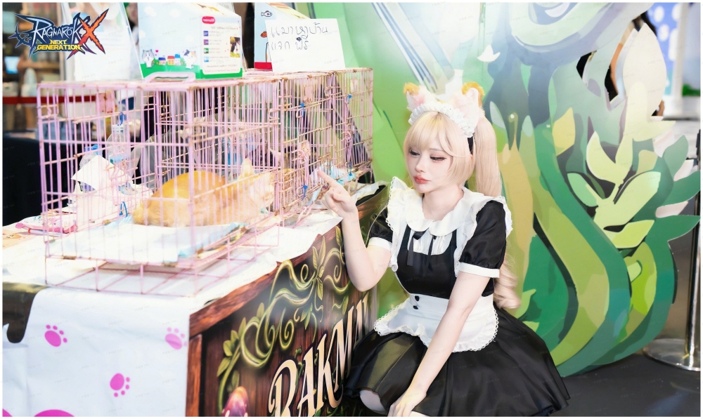 ROX บริจาคอาหารแมว 750 กิโลกรัมเพื่อช่วยเหลือแมวจร 5 ROX บริจาคอาหารแมว 750 กิโลกรัมเพื่อช่วยเหลือแมวจร