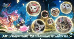 ROX บริจาคอาหารแมว 750 กิโลกรัมเพื่อช่วยเหลือแมวจร 16 ROX บริจาคอาหารแมว 750 กิโลกรัมเพื่อช่วยเหลือแมวจร