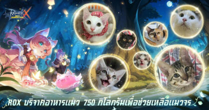 ROX บริจาคอาหารแมว 750 กิโลกรัมเพื่อช่วยเหลือแมวจร