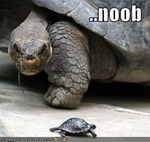 [คำศัพท์เกมน่ารู้] Noob แท้จริงแล้ว ไม่ได้แปลว่า กาก