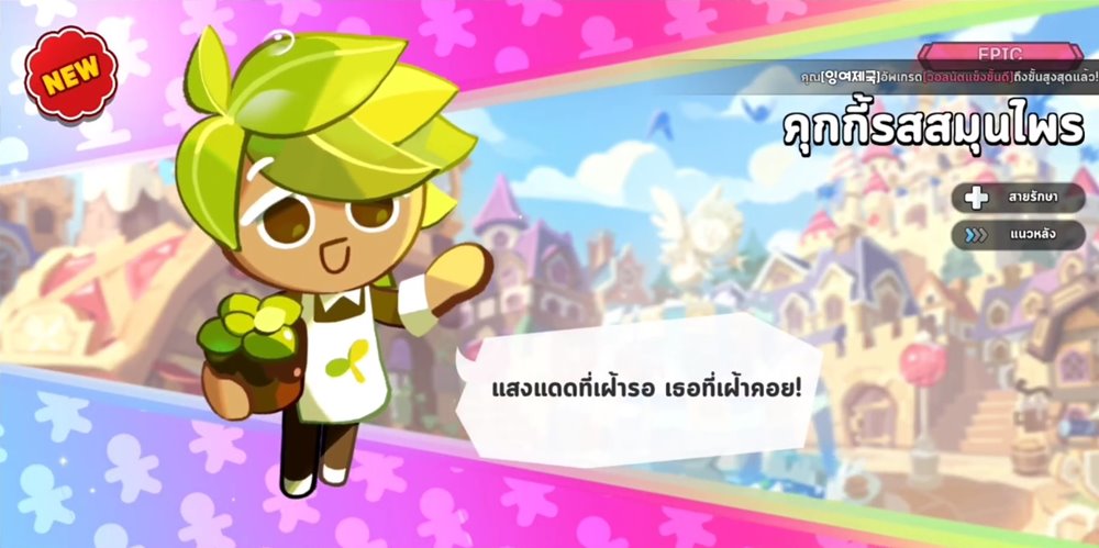 ส่องทีม PVP ของเหล่าเทพในอารีน่า Cookie Run: Kingdom